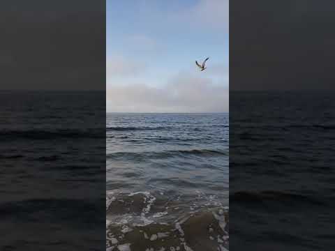 Revelation 11:17(We give thanks to you, Lord  GOD  Almighty,  the One who is and who was)