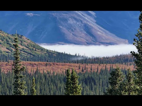 After these things:  Continuing the Pursuit of God (Isaiah 6:3-4)