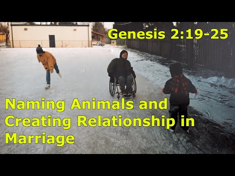 006 Genesis 2:19-25 Naming Animals and Creating Relationship in Marriage