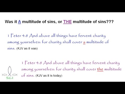 A Multitude And Not The Multitude (1 Peter 4:8) Daniel 7:25 Effect Sermon Video Clips
