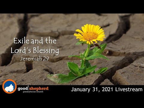 01-31-21 True or False? (Jeremiah 29:8-9)