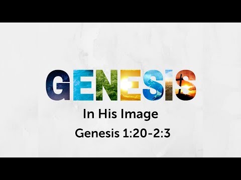 In His Image, Genesis 1:20-2:3