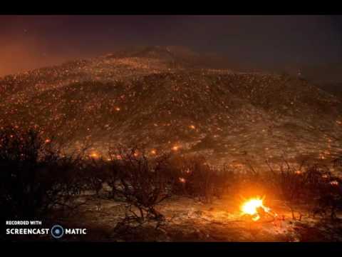 The Fourth Book of Moses, Called Numbers 16-18:26 (KJV)