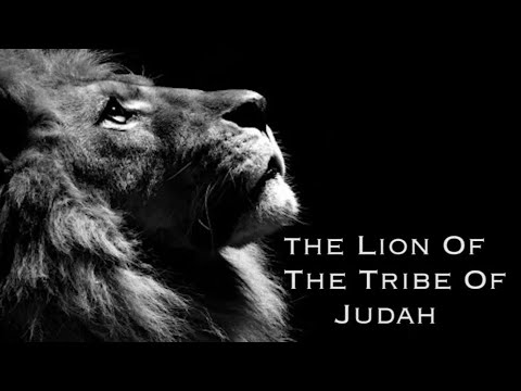 Early morning prayer requests/devotions! Scripture of the day: Deuteronomy 1:26-31 God Carries Us!????????