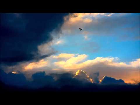 8/31/14 - The Mark of a True Disciple - Matthew 5:10-12