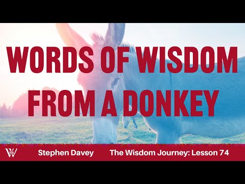 Lesson 74: Balaam and a Talking Donkey (Numbers 21:10-25:18)