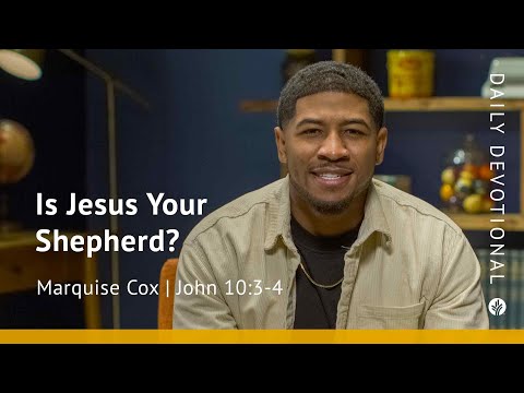 Is Jesus Your Shepherd? | John 10:3–4 | Our Daily Bread Video Devotional