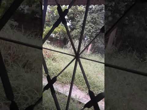 LAMENTATION: Jeremiah 31:15