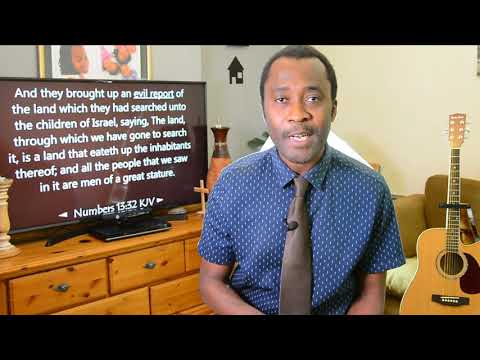 ◄ Numbers 13:32 ► They brought up an EVIL REPORT of the land...