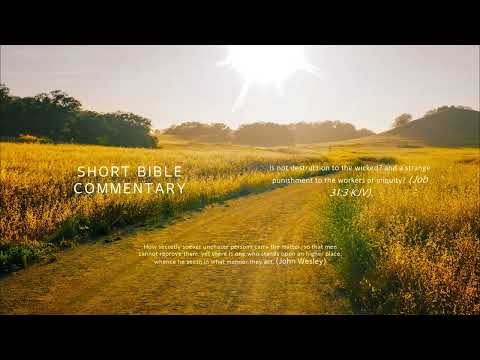 Job 31:3 - Short Bible commentary