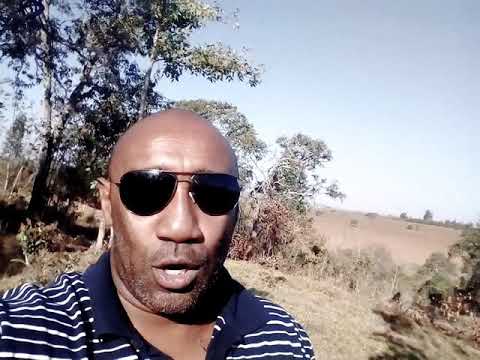 Lamentations of Jeremiah 3:23 renew your mercy...renova  suas misericórdias