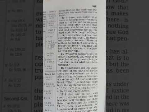 Ecclesiastes 3:11-13= what does the worker gain from all his effort 10 I have seen the occupation