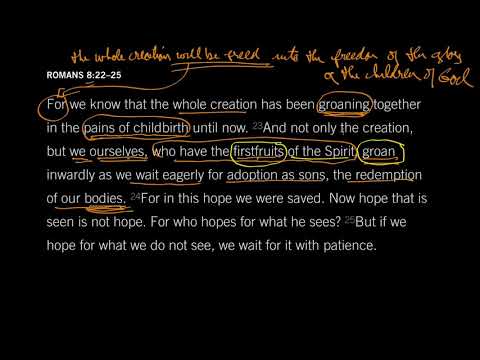 John Piper: Romans 8:22–25 - The Redemption of Our Bodies [Episode 19]