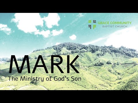 Mark 2:23-28