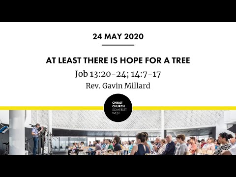 Sunday Service, 24 May 2020 - Job 13:20-24; 14:7-17