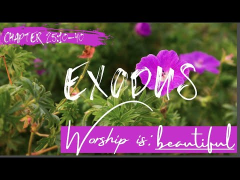 Worship is a Beautiful, Exodus 25:10-40 Brian Daly