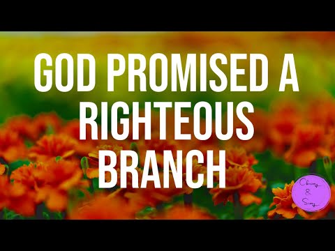 God Promised a Righteous Branch I Sunday School I August 21st I Jeremiah 23:1–6; 33:14–18
