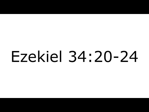 2020-11-22 Ezekiel 34:20-24