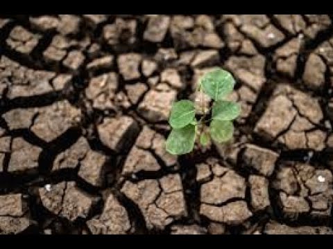 Land Restored -Scripture from the Lord-Psalms 68:9-12;45:6