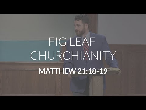 Fig Leaf Churchianity (Matthew 21:18-19)