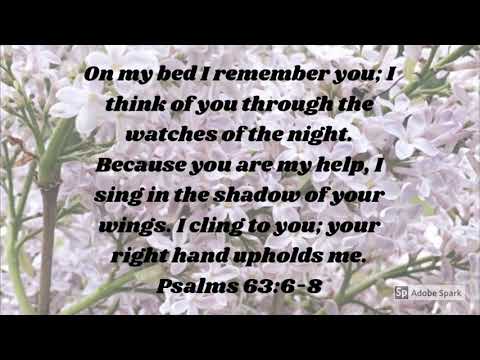 Psalm 63:6-8