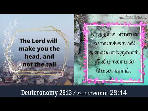 Bible verse for the day || Deuteronomy 28:13 || Verses to make your day thoughful