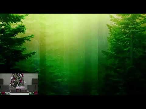 "O Little Town of Bethlehem" - Micah 5:2-5