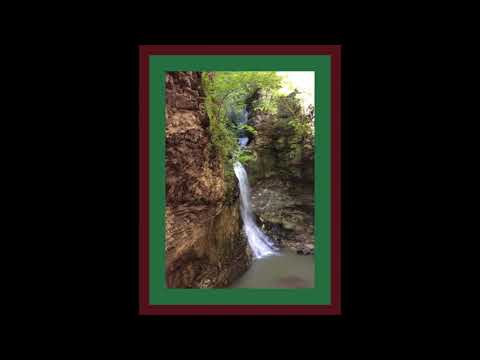 Coffee Break (5 Minutes with God) Psalm 35:15-17
