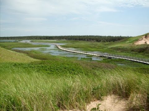 Ezra 10:1-3 "The People Confess Their Sin"