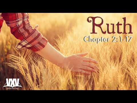 Verse by Verse - Ruth 2:1-17