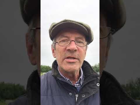 Daily Devotional Mark 9:43 Sin! Cut it off!