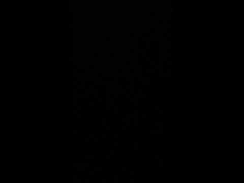 Blessing the Bulwarks part two (Nehemiah 12:31-43)