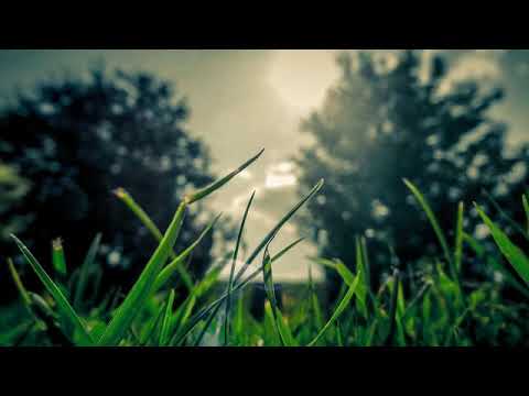 Psalm 96:11-13 | Bible reading | Call to worship