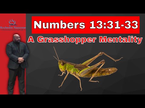 Morning Worship Service - 11.7.2021 - Numbers 13:31-33