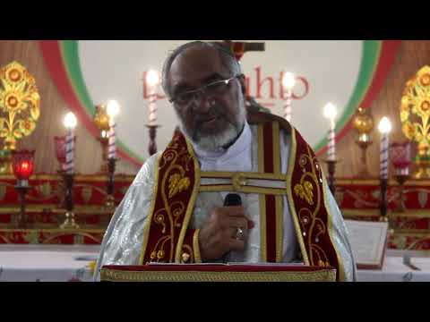 Daily reflection St Luke 11:43-54(25/05/2020)