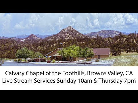 John 12:12-13  The Misunderstood Savior