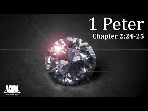 Verse by Verse - 1 Peter 2:24-25