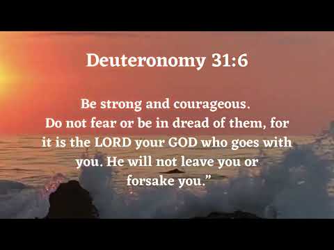 Bible Verse: Deuteronomy 3:16 ✝️