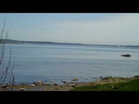 Water Washing Word Psalm 142:3-7