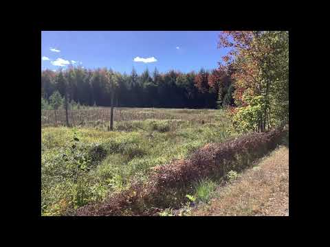 Coffee Break (5 Minutes with God) Psalm 73:17-21