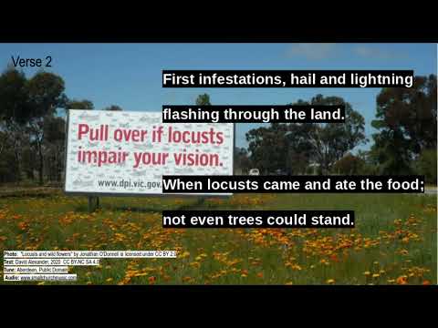 Psalm 105: 26-36  Waters, Frogs and Beasts