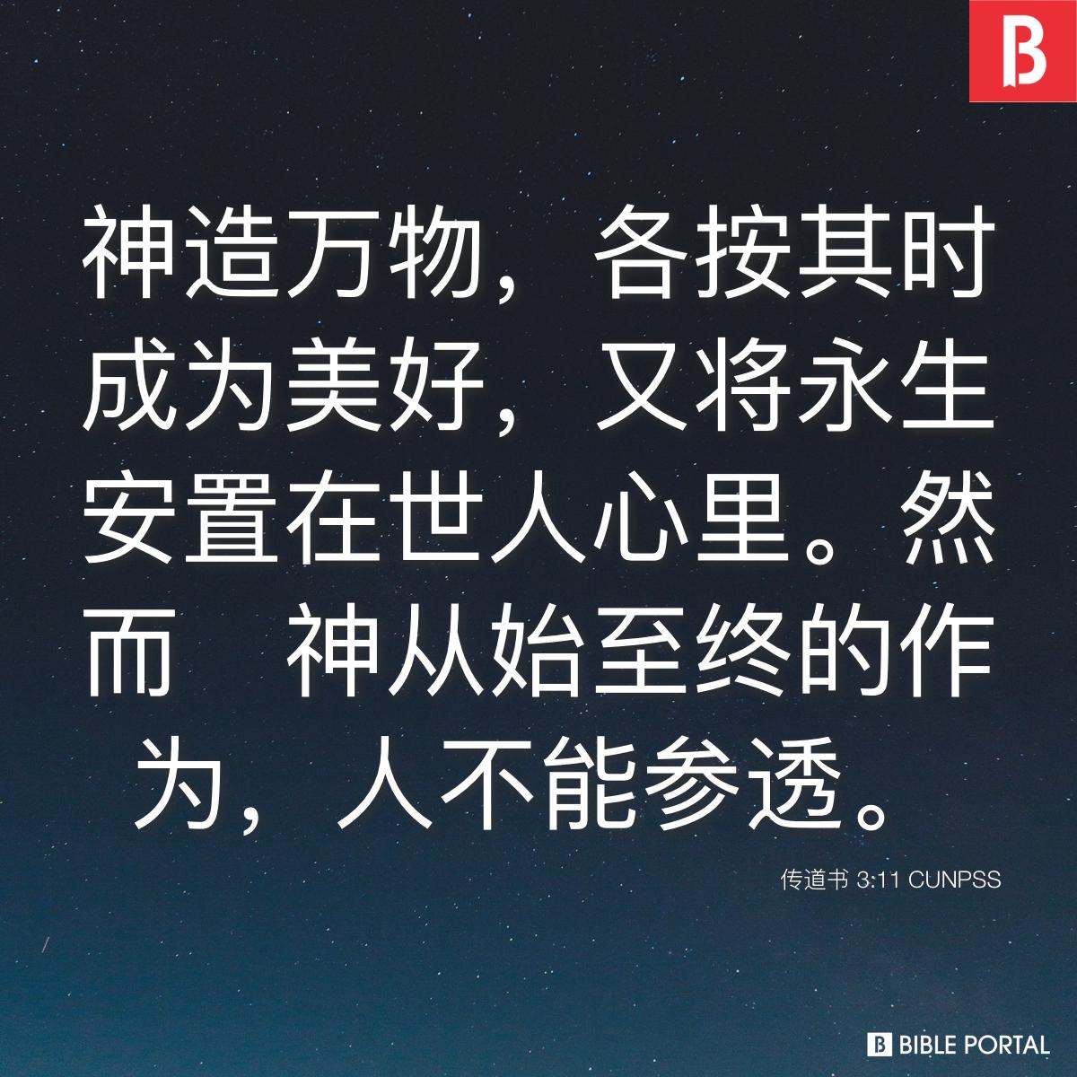 Bible verse of the day - 2025年11月8日 - 传道书 3:11