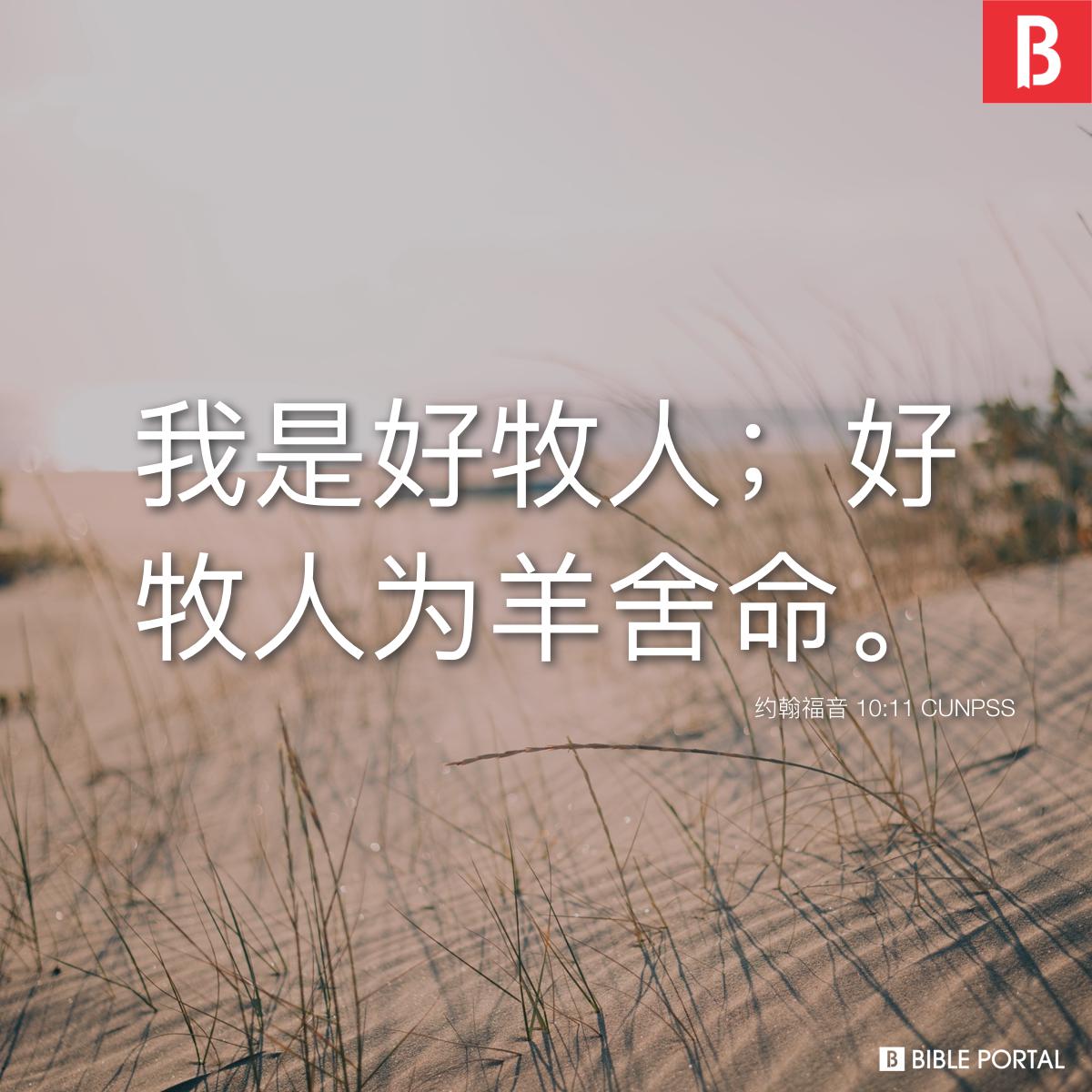 Bible verse of the day - 2025年9月30日 - 约翰福音 10:11