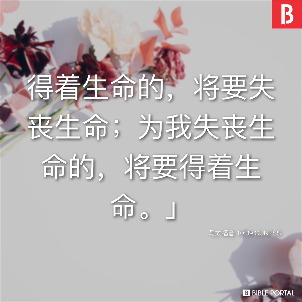 Bible verse of the day - 2025年11月2日 - 马太福音 10:39